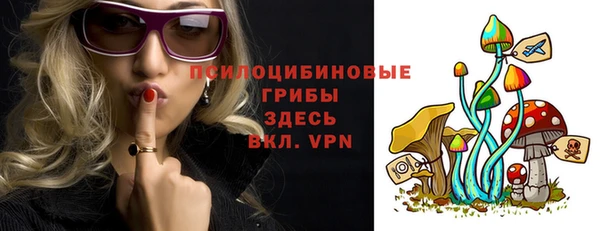 прущая мука Пересвет