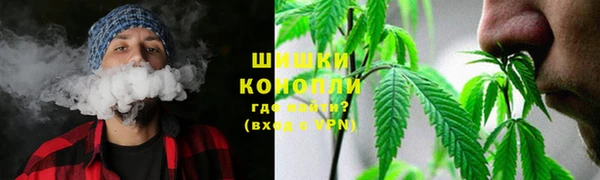 молекула духа Аркадак
