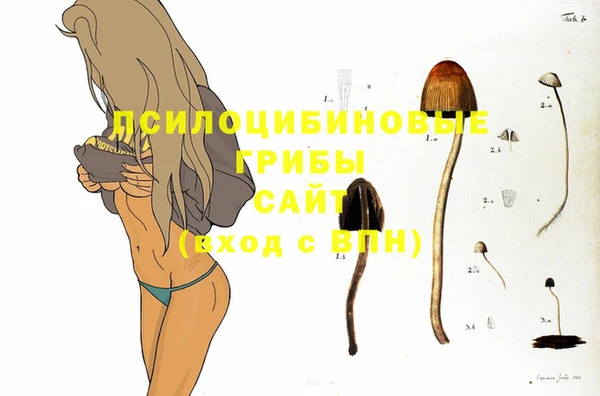 прущие крисы Арсеньев