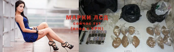 прущие крисы Арсеньев