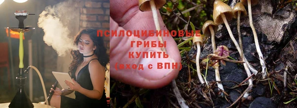 молекула духа Аркадак
