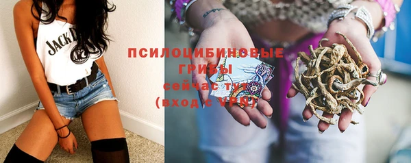 прущие крисы Арсеньев