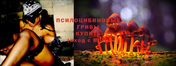 гидра Армянск
