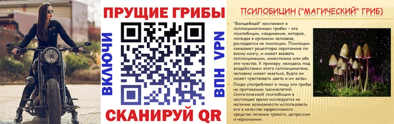 Псилоцибиновые грибы ЛСД  mega ТОР  Чадан  закладки 